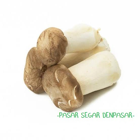 

KING OYSTER MUSHROOM 200GR/PACK