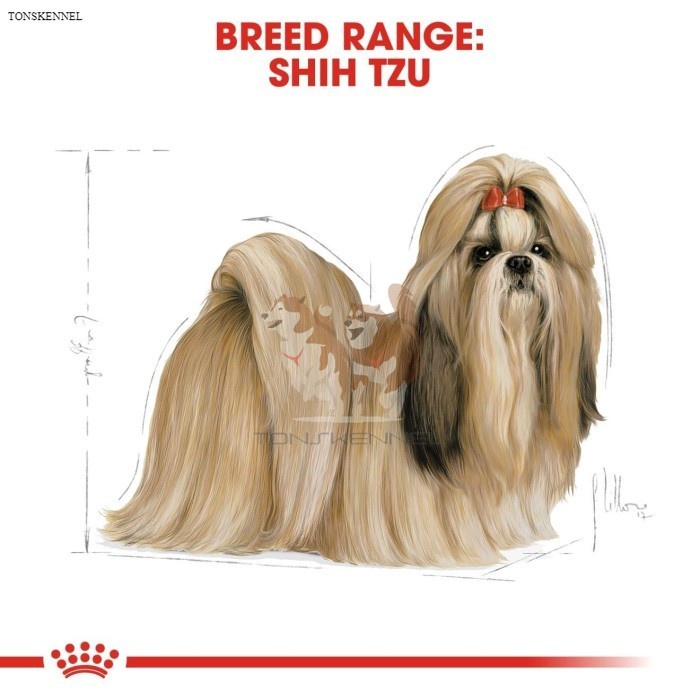 Royal Canin Shih Tzu Adult Makanan Anjing Dewasa Dry 1,5kg rc ShihTzu