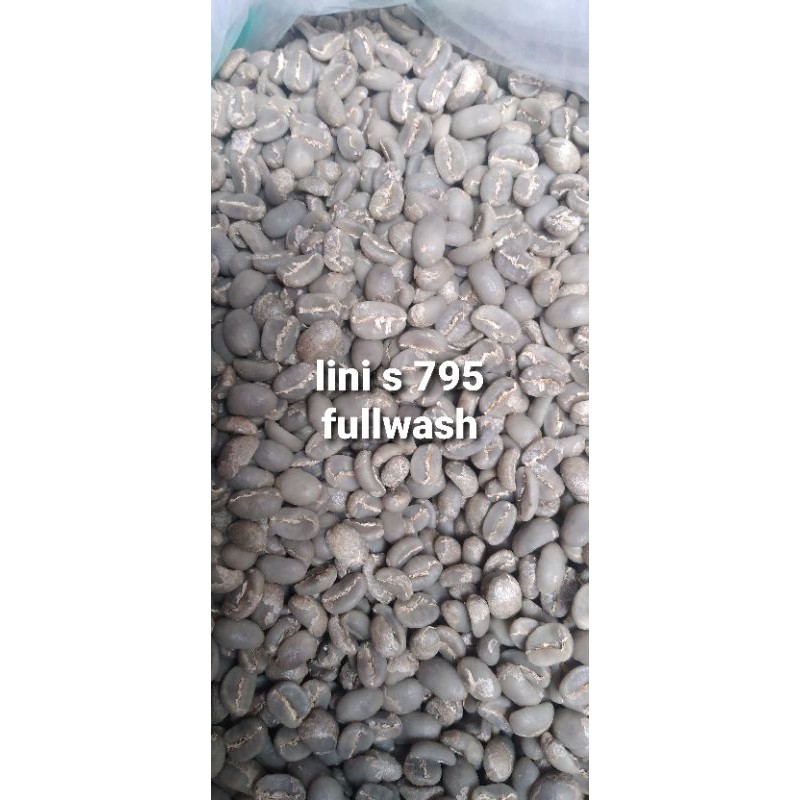 

single varietas lini s795. proses fullwash