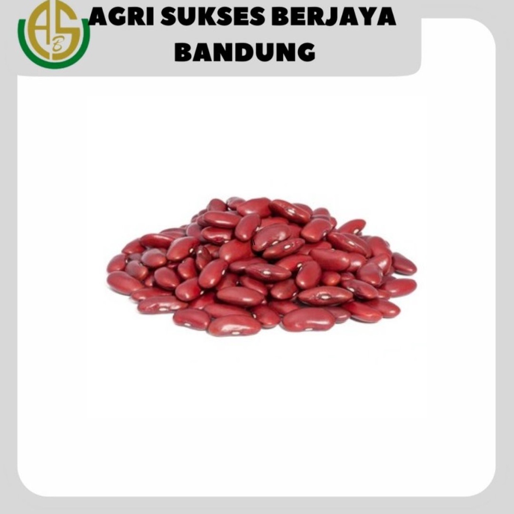 

Kacang Merah 250 GR