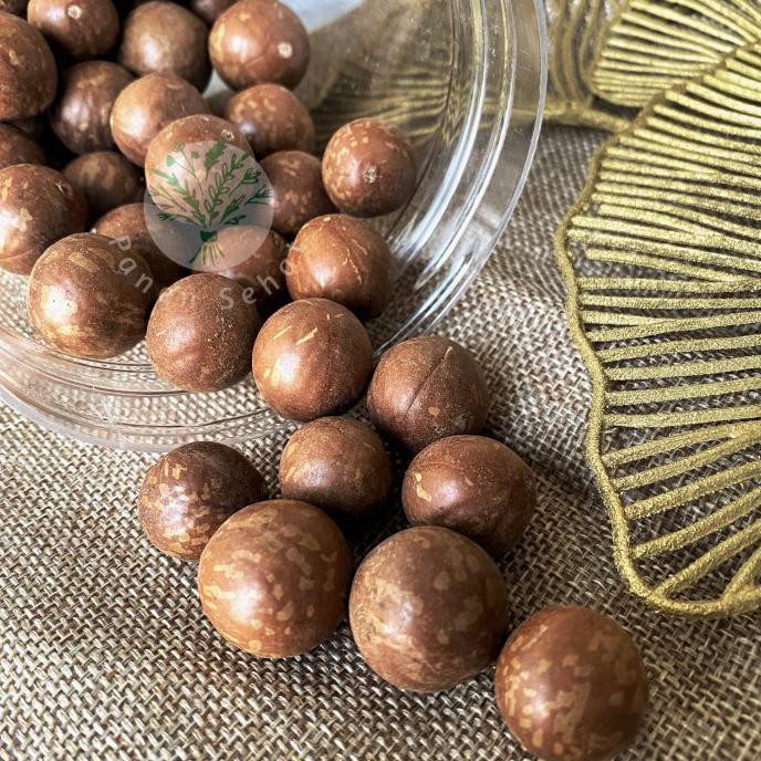 

TERBARU KACANG MACADAMIA KULIT UTUH MENTAH RAW MACADAMIA NUT IN SHELL 250GR