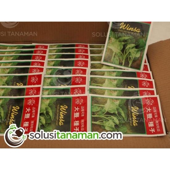 ✼ Benih Sayuran Kailan Kale @20gr - Biji Bibit Sayur Tanaman Hidroponik ◌