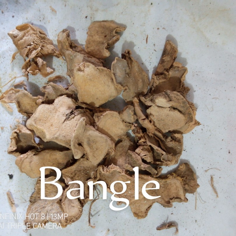 

Bangle Kering 250 gr (1/4 kg) Murni Asli Alami Kwalitas Terjamin