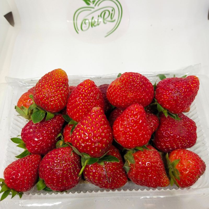 

fresh stawberry organik | strawberri | stroberri