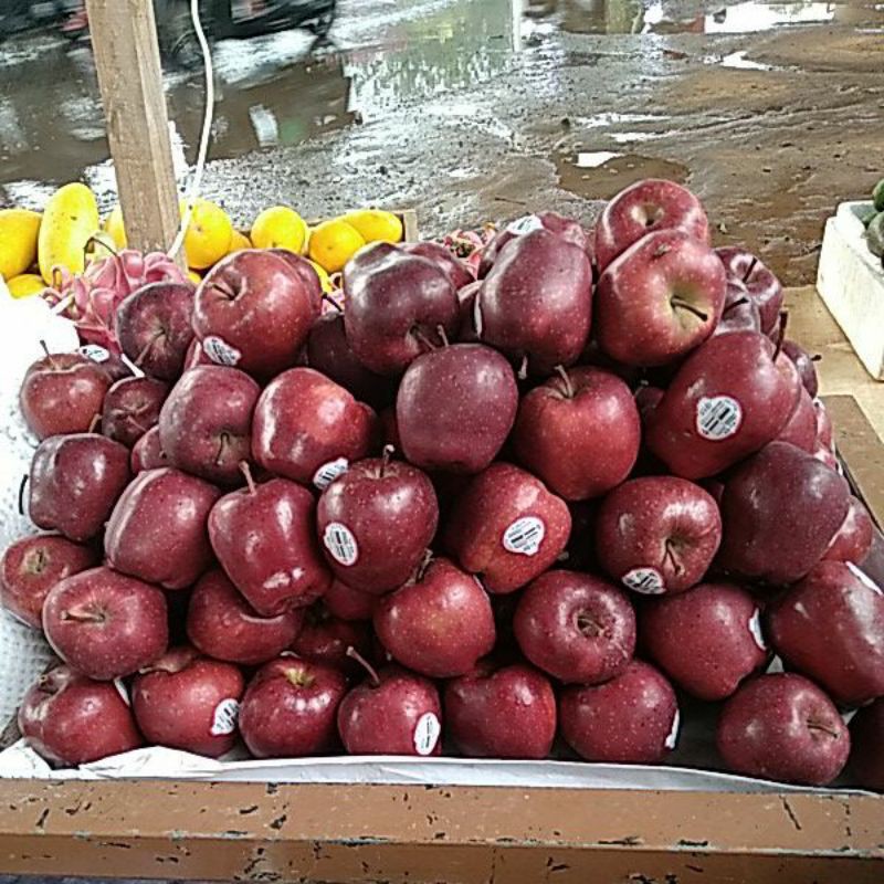 

apel merah