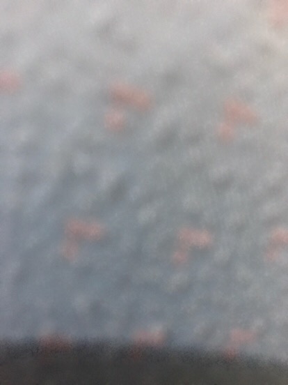 Meteran Gulung Putar 150 Cm / Meteran Mini Pengukur Lingkar Tukang Jahit