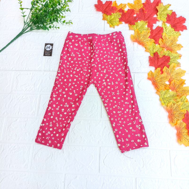 Grosir Lejing Legging Anak Perempuan Celana Panjang Cewek Polos dan Motif Usia 1-12 Tahun