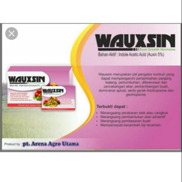 WAUXSIN Zpt Hormon akar