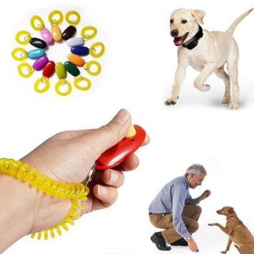 Pet Clicker - Pelatihan Hewan Anjing Kucing Burung Kliker Dog Cat Animal Training