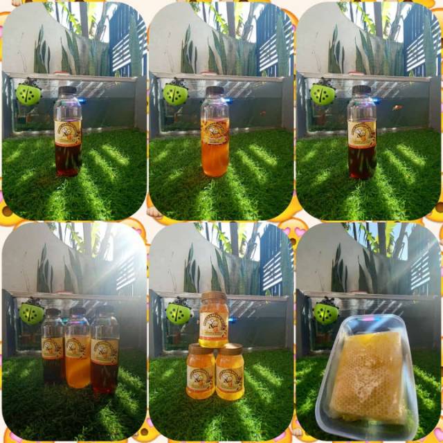 

Madu Asli