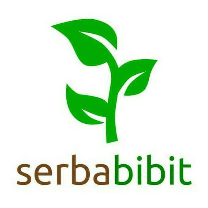 Diskon Bibit Markisa Ungu - Pohon Buah Markisa Ungu @_#