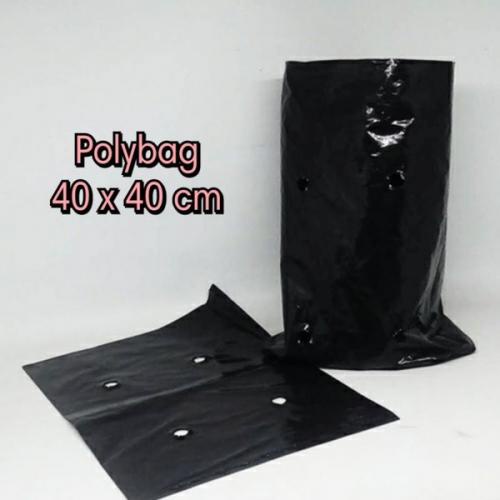 Polybag 40x40cm
