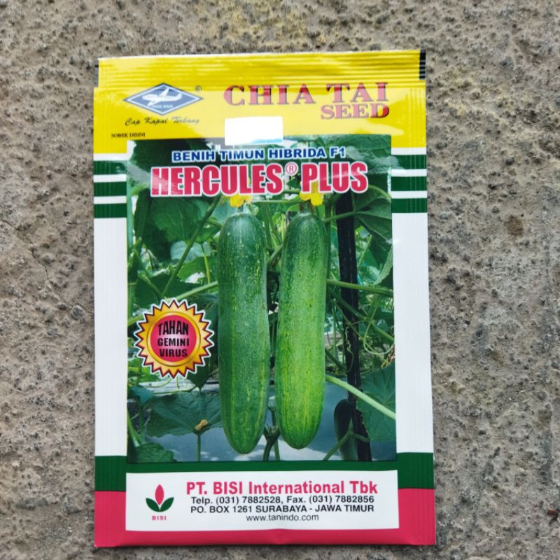 BENIH TIMUN HERCULES 10 GRAM