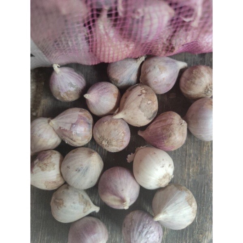 

RB Bawang Putih Tunggal/Bawang Lanang Tunggal Import 500GR
