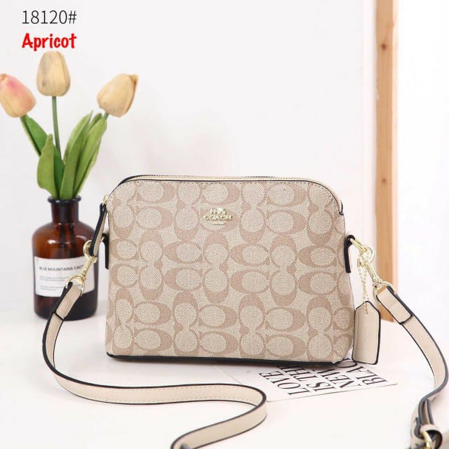 Tas Wanita Bag Import Tas Batam Selempang  AC 18120