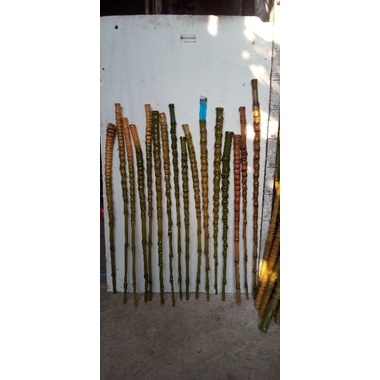 gagang joran unik bambu cendani