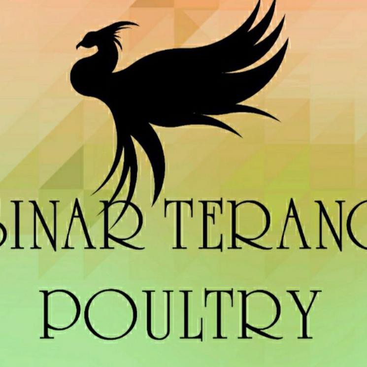 READY Kandang baterai galvanis 4 pintu -kandang ayam layer/kandang ayam petelur 8 ekor