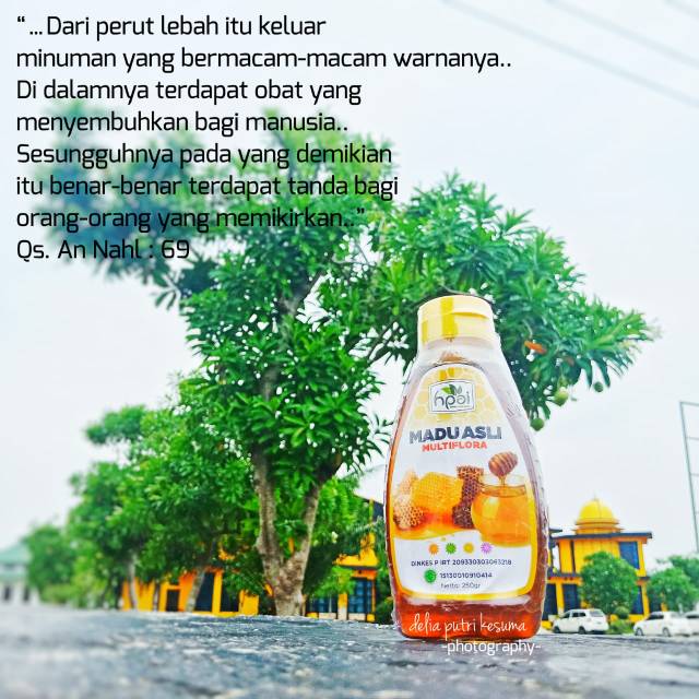 

Madu Asli Multifora HNI HPAI