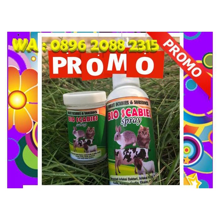 Obat Sorehock Kelinci Paling Ampuh, Obat Sorehock Hewan, Obat Koreng Paling Ampuh Mudah Praktis Prom