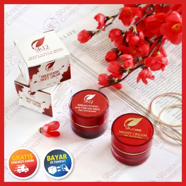 Paket Khusus Pemutih Wajah Yang Aman Untuk Ibu Hamil  Ibu