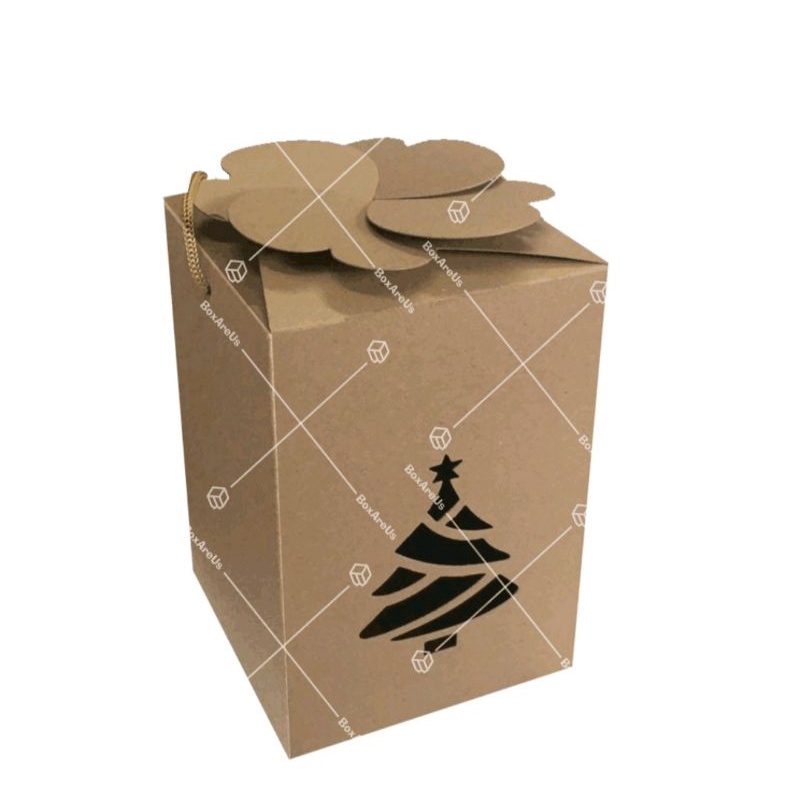 

Dus kotak box hampers toples kue cookies Natal