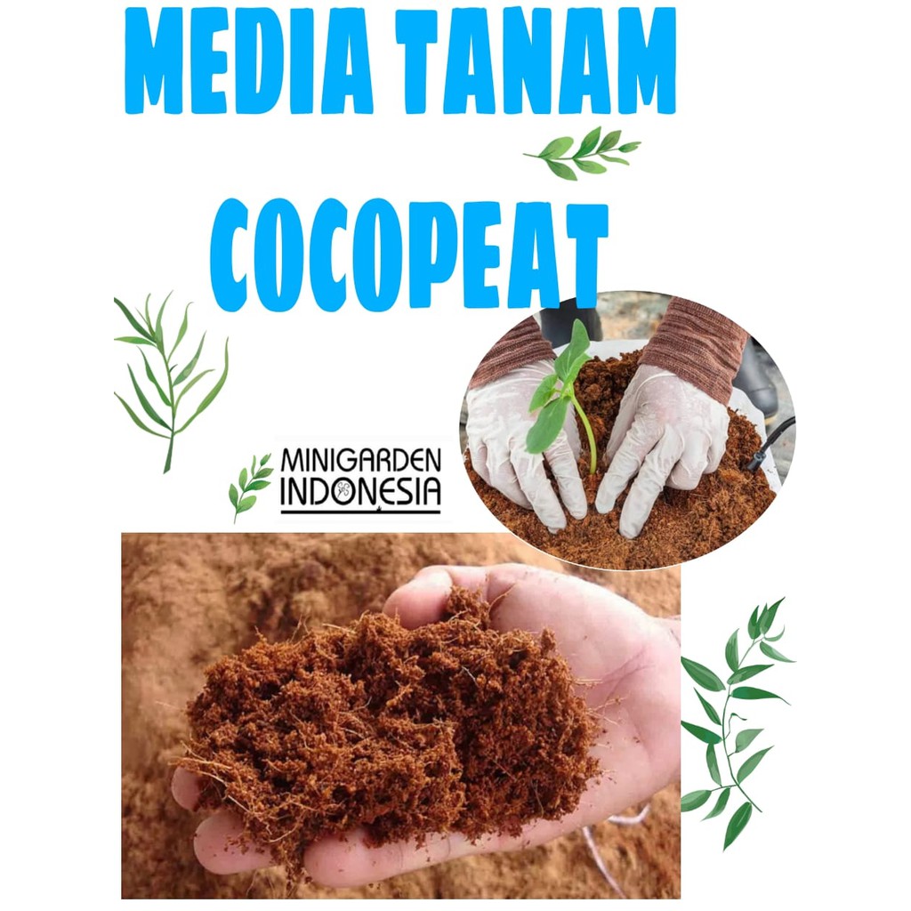 400 gram Media Tanam benih bibit bunga buah sayuran ( Cocopeat ) Organik Hidroponik KOKOPIT