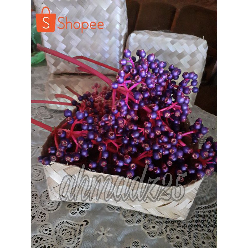 

Paket Hemat Buah parijoto Muria 500 Gram ( 1/2 KG )