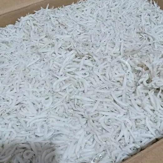 

Fisho | Ikan Teri Medan Super Ready stock