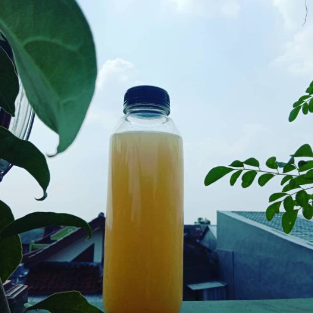 

Cuka apel dengan inangnya/ raw Apple vinegar with mother, 500 ml