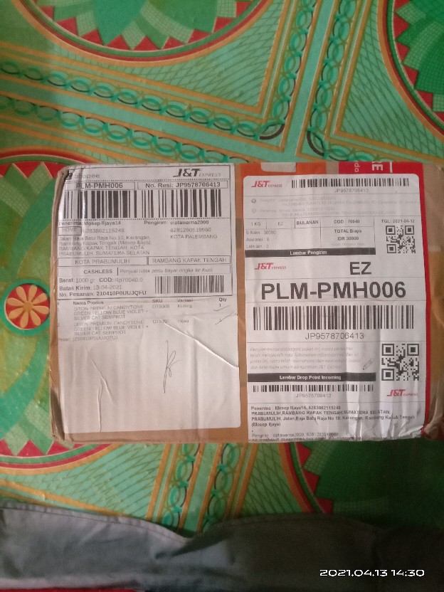 Diton Premium Candytone Green Yellow Blue Violet + Silver Cat Semprot