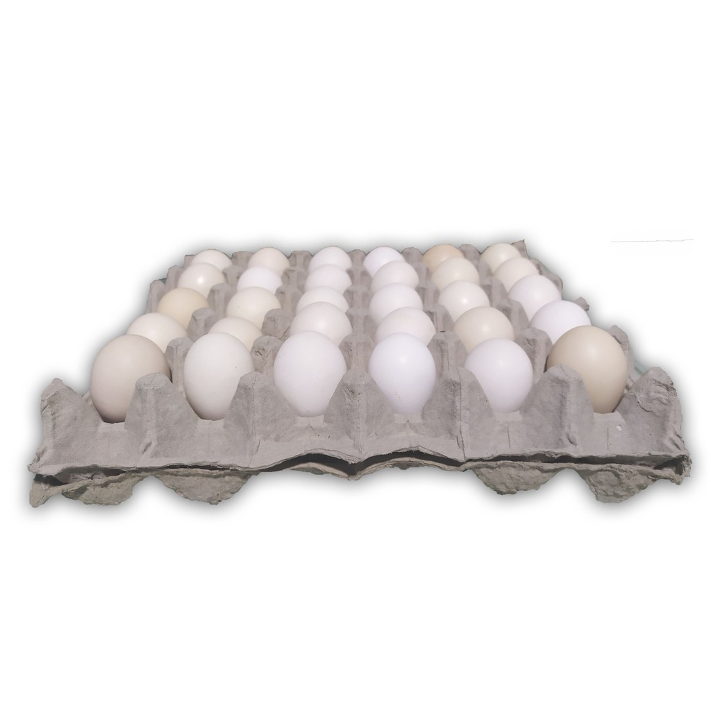 

RB Telur Kampung Merah Curah isi 30 butir