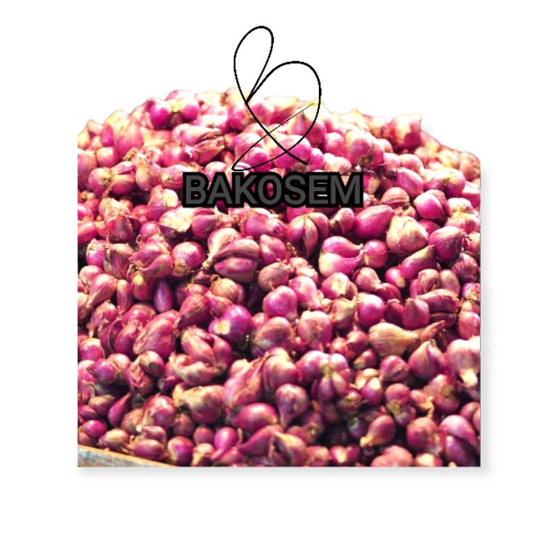 

Bawang Merah 1kg