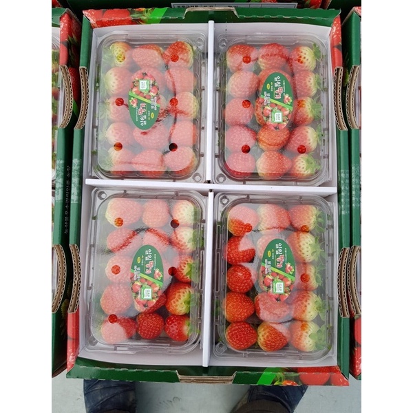 

Strawberry Korea Import Premium 500 grm X 4 pack / dus