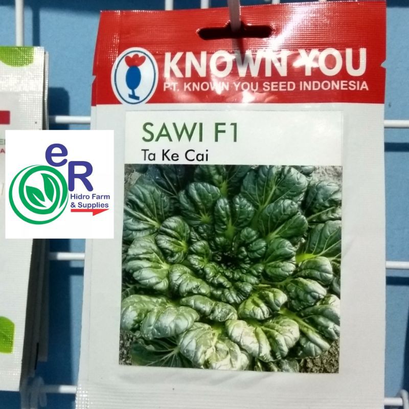 benih sawi pagoda ta ke cai KYS Know you