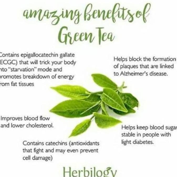 

Herbilogy Green tea Extract Powder 100g
