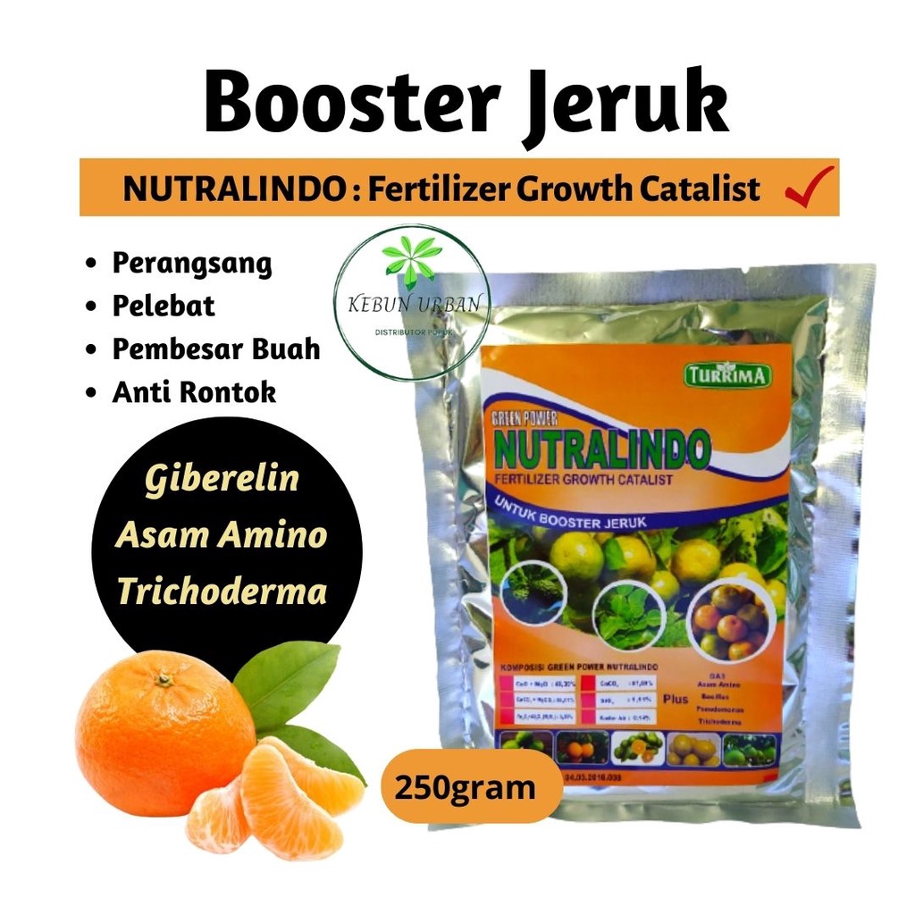 Booster Pupuk Jeruk Santang Madu Cepat Berbuah, Booster Jeruk Limau Nipis Purut Segala Jenis, Pupuk 