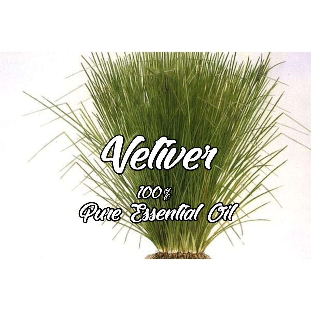 Vetiver 100% Pure Essential Oil 1 L