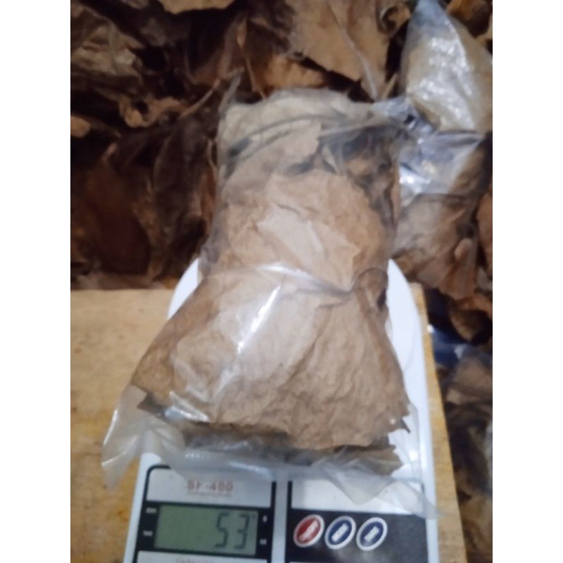 DAUN KETAPANG LAUT 50gram/Murah/isi lebih banyak