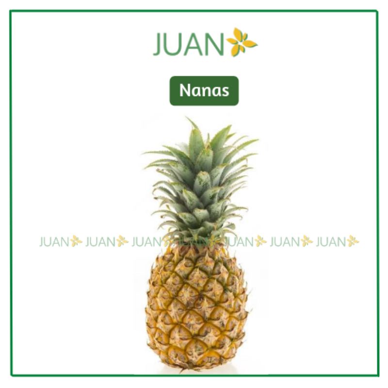 

Nanas 1 pcs - Juan Freshmart