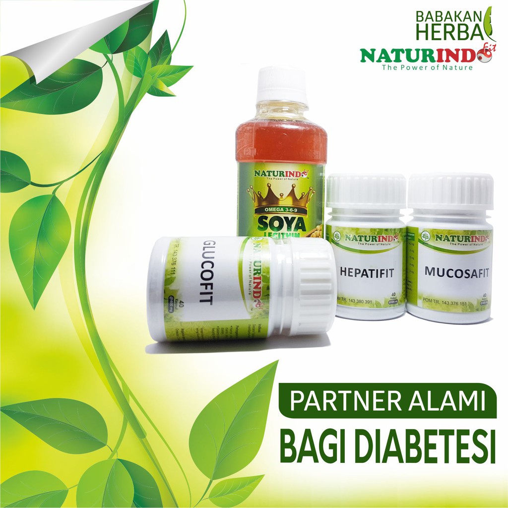 

Obat Herbal Mengobati Diabetes Naturindo Fit Babakan Herbal
