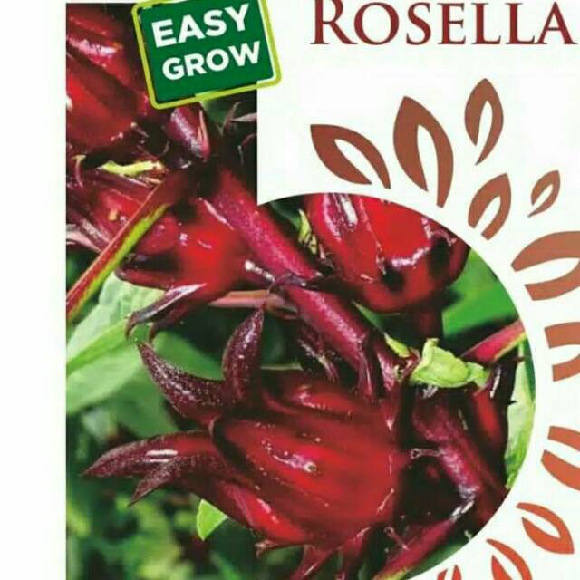 100 Biji Bunga  Rosella  Merah Shopee  Indonesia