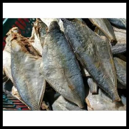 

Ikan Asin Peda Buntung 1Kg