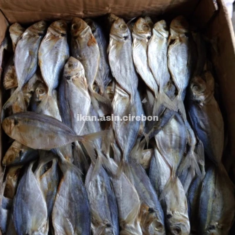 

IKAN ASIN SELAR MURAH 1kg