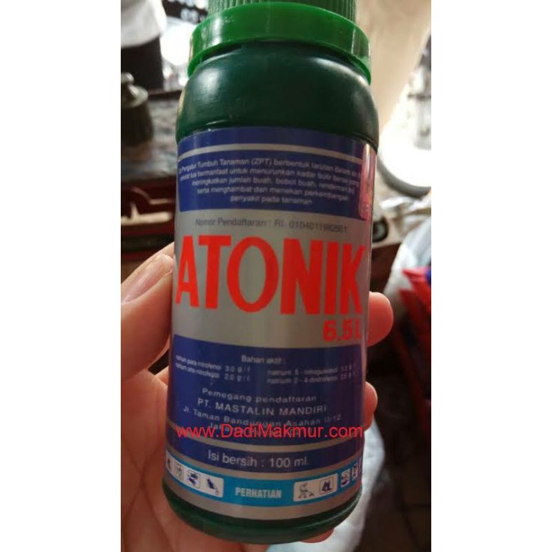 ZPT ATONIK 100ml