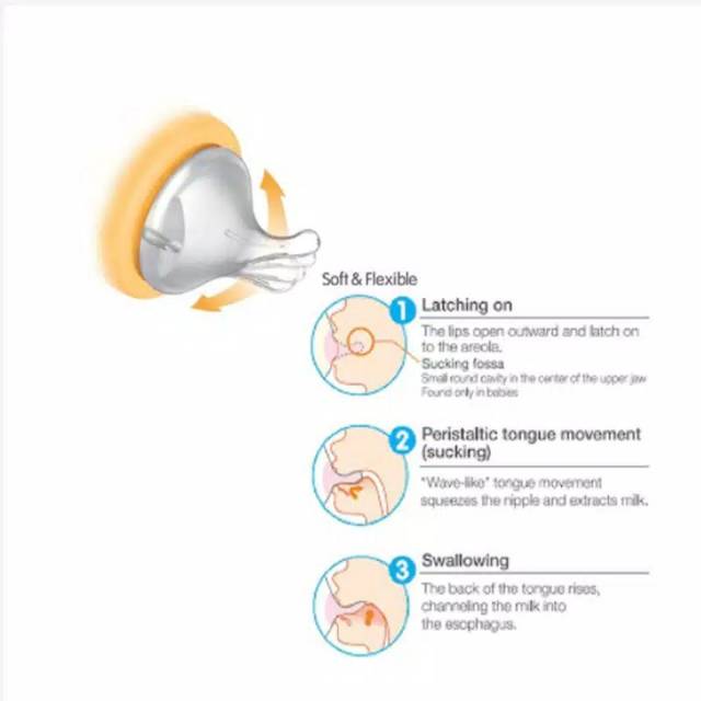 OliveShop ❤ Pigeon Peristaltic Plus Wide Neck Nipple Blister (Isi 3) Dot Pengganti