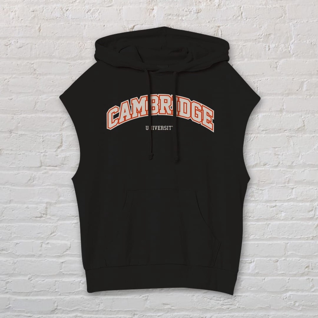 CAMBRIDGE UNIVERSITY HOODIE PRIA KEKINIAN / HOODIE PRIA TEBAL