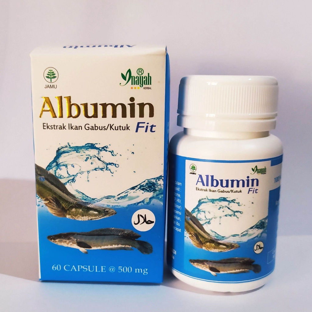 ALBUMIN FIT 60 Kapsul Ekstrak Ikan Gabus Cepat Sembuh PASCA OPERASI / Ekstrak Ikan Kutuk