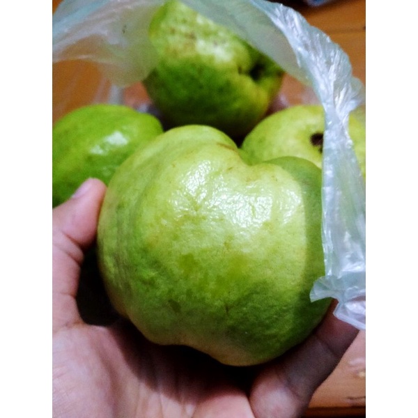 

Jambu Batu Kristal