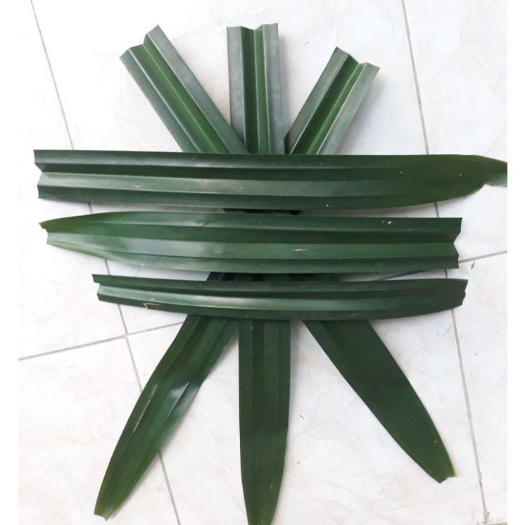 

daun pandan wangi 250gram