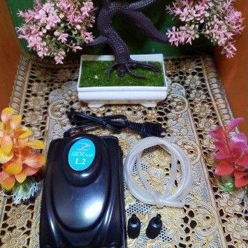 Rosston Aquarium Air Pump L2